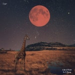 Calm at Dawn - 벅스 Calm at Dawn / 하이정