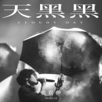 天黑黑 (Cloudy Day) - 벅스 天黑黑 (Cloudy Day) / Crowd Lu (盧廣仲)