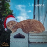I Wanna - 벅스 I Wanna / 아녹(Anoc)