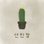 선인장 - 벅스 선인장 / 구일