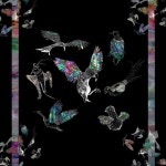 Color - 벅스 Color / 신향(Sýn Hjang)