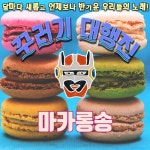 마카롱송 (Feat. 심희섭)/꾸러기 대행진 - 벅스 마카롱송 (Feat. 심희섭) / 꾸러기 대행진