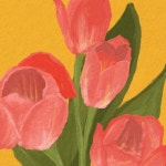 Boy - 벅스 Boy / 수우 (soowoo)