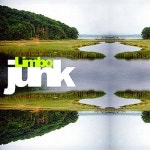 Junk - 벅스 Junk / Limbo(림보)