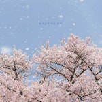 보고 싶다 아주 많이/그네, 다무 (Damu) - 벅스 보고 싶다 아주 많이 / 그네, 다무 (Damu)