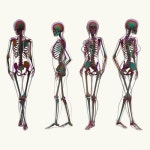 Body - 벅스 Body / Kid Boom, Kid Enigma