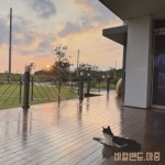 마중 - 벅스 마중 / 바칼밴드