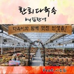 환희다육송 - 벅스 환희다육송 / 김한영