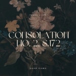 리스트 : 위안 2번 (Consolation No. 2, S. 172) - 벅스 리스트 : 위안 2번 (Consolation No. 2, S. 172) / CAIGE