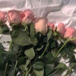 Lovely Day - 벅스 Lovely Day / Deba