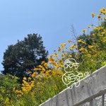 낙서 - 벅스 낙서 / 전자연