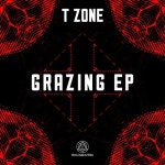 Grazing EP - 벅스 Grazing EP / T Zone