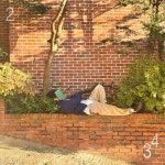 느리게 가는 곳 - 벅스 느리게 가는 곳 / 234