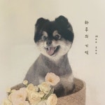 하루의 기억/MOO SOO - 벅스 하루의 기억 / MOO SOO