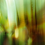 밀월 - 벅스 밀월 / 성불락