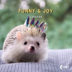 Funny&Joy - 벅스 Funny&Joy / Lapis