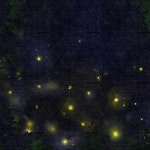 반딧불이 보호구역 - 벅스 반딧불이 보호구역 / 아이언피그 (Ironpig)