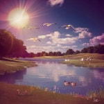 여름이 지난 후에야, 비로소 - 벅스 여름이 지난 후에야, 비로소 / 화령