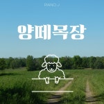 양떼목장/Radio J - 벅스 양떼목장 / Radio J