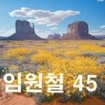 해방둥이의 길 - 벅스 해방둥이의 길 / 임원철45