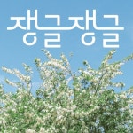 쟁글쟁글 - 벅스 쟁글쟁글 / 윤도경