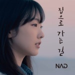 집으로 가는 길 - 벅스 집으로 가는 길 / NAD