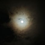 달무리 - 벅스 달무리 / 여자들 피리피그