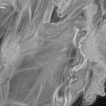 그게 참 우스워 - 벅스 그게 참 우스워 / 도유카(doyouka)