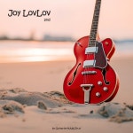 Joy LovLov - 벅스 Joy LovLov / Guitarist-HAN