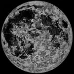 문 - 벅스 문 / XIK, 레드락 (RED ROC)