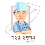차상훈 성형외과 - 벅스 차상훈 성형외과 / 이혜림