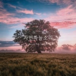 고요하늘, 명상음악 : 자연하늘소리 - 벅스 고요하늘, 명상음악 : 자연하늘소리 / DC Park
