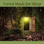숙면 할때 듣는 숲속의 힐링 음악 - 벅스 숙면 할때 듣는 숲속의 힐링 음악 / 멜로디 이펙트