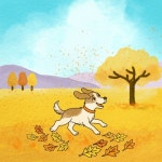 Happy Paw - 벅스 Happy Paw / COZY CLOU:D