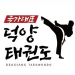 국가대표 덕양 태권도 - 벅스 국가대표 덕양 태권도 / 전종호