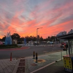 하루 - 벅스 하루 / 라파엘 (RAPHAEL)