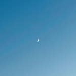 눈을 맞추다 - 벅스 눈을 맞추다 / 말벗