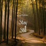 Stay Still - 벅스 Stay Still / Cecil K