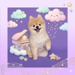 Dog and Me - 벅스 Dog and Me / 코지 무드(Cozy mood)