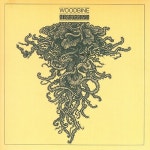 Can A Star Disappear/Woodbine(우드바인) - 벅스 Can A Star Disappear / Woodbine(우드바인)