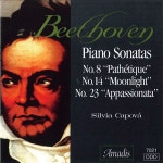 Beethoven: Piano Sonata No.8 In C Minor Op.13 Pathetique - I. Grave-Allegro Di Molto E Con Brio (베토벤: 피아노 소나타 8번 C단조... 