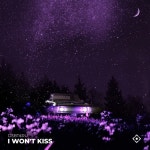 I Wont Kiss - 벅스 I Wont Kiss / D3bt4ru