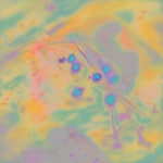 Meridians - 벅스 Meridians / Holly Waxwing(홀리 왁싱)