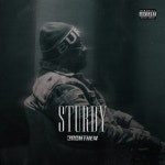 STURDY - 벅스 STURDY / JRONTHEM