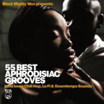 55 Best Aphrodisiac Grooves (Irma loves Chill Hop, Lo Fi & Downtempo Soundz) - 벅스 55 Best Aphrodisiac Grooves (Irma loves Chill... 