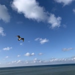 Compass of Love - 벅스 Compass of Love / MØTHER