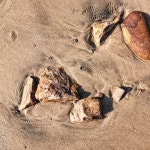 all night - 벅스 all night / 상섭이