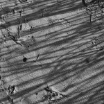 explore - 벅스 explore / 상섭이