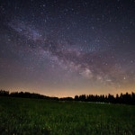 Damages - 벅스 Damages / Matt Citron