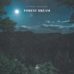 Forest Dream - 벅스 Forest Dream / Sacred Bansuri